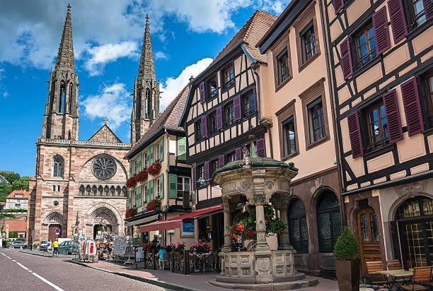 Apartment Le Pavillon Des Remparts - Commerces A Proximite - Centre-ville - Cosy Obernai