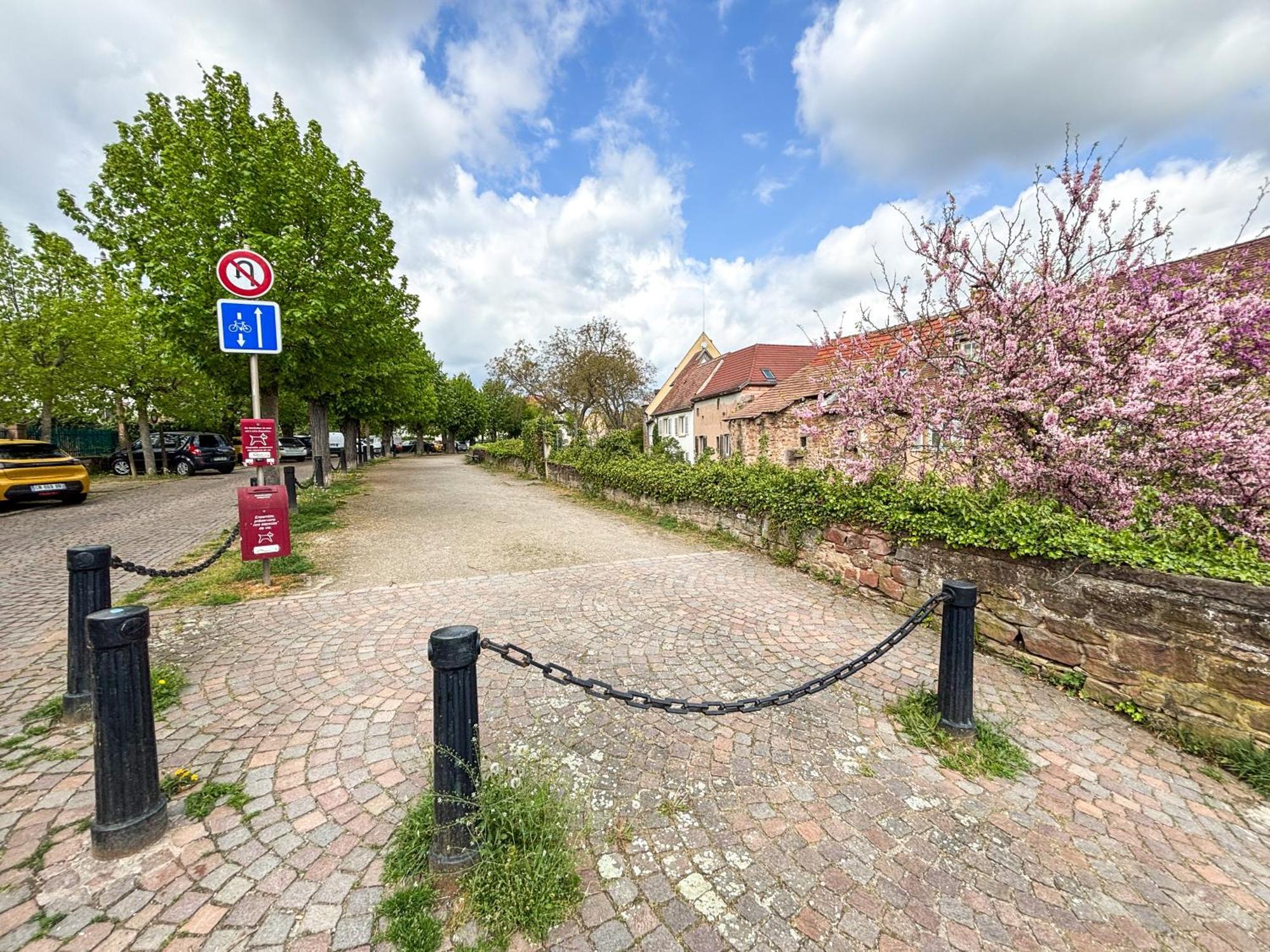 Le Pavillon Des Remparts - Commerces A Proximite - Centre-ville - Cosy * Obernai